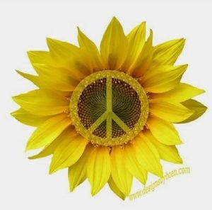 Meet your Posher, Terry